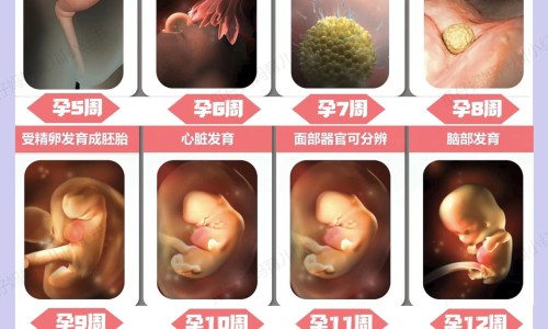 脂康颗粒说明书专区_脂康颗粒怎么样专区_脂康颗粒价格网
