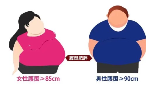 脂康颗粒说明书专区_脂康颗粒怎么样专区_脂康颗粒价格网