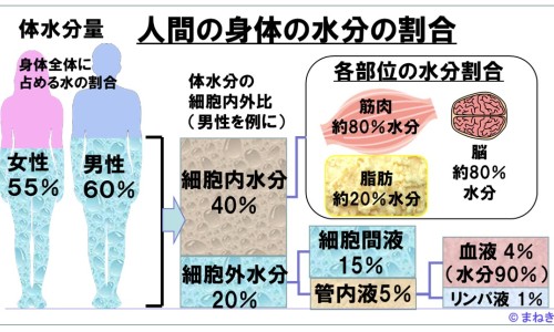 脂康颗粒30袋一盒价格-脂康颗粒说明书专区_脂康颗粒怎么样专区_脂康颗粒价格网